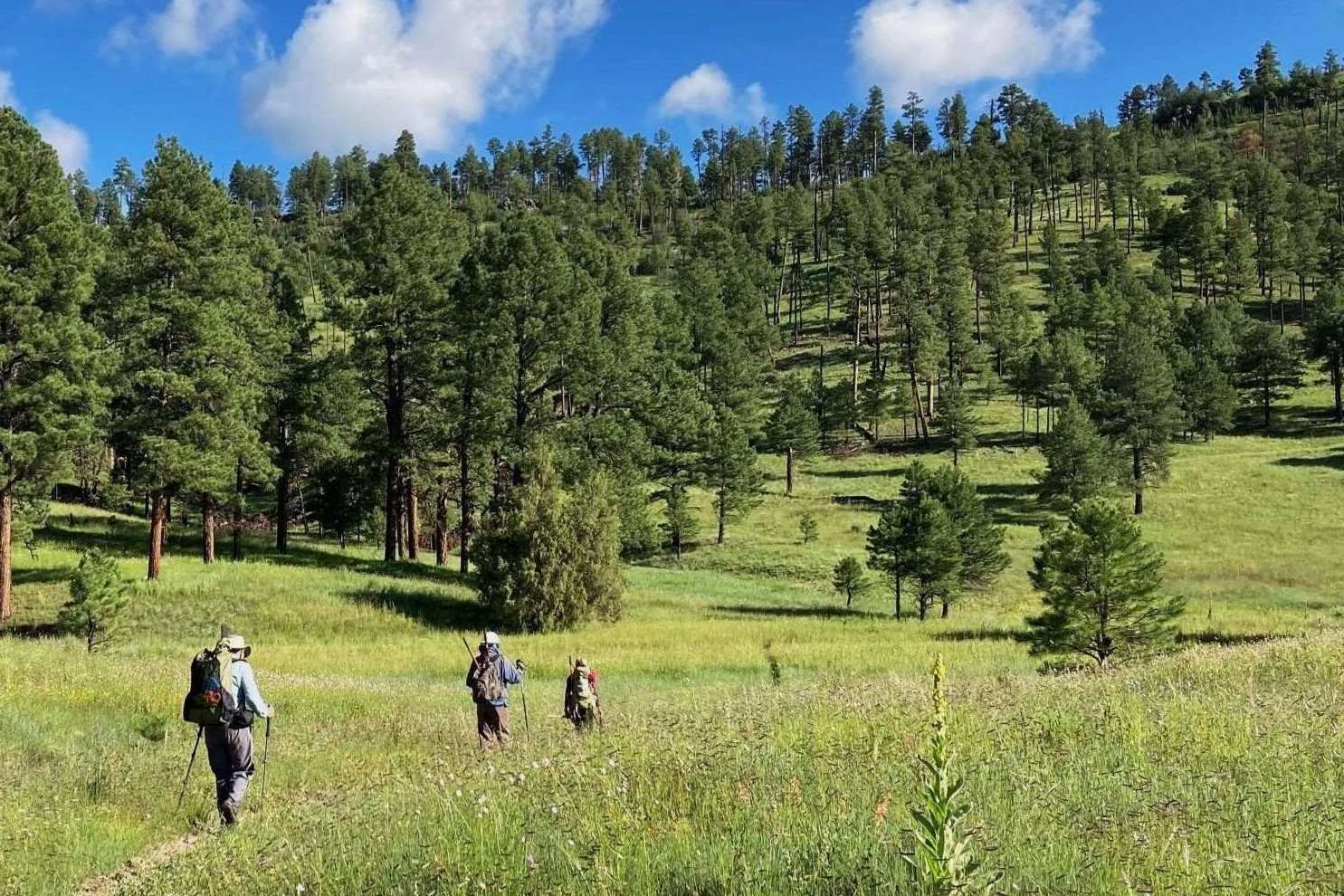 lost-trading-posts-of-new-mexicos-gila