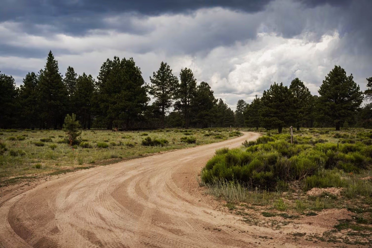 lost-trading-routes-of-arizonas-beale-road