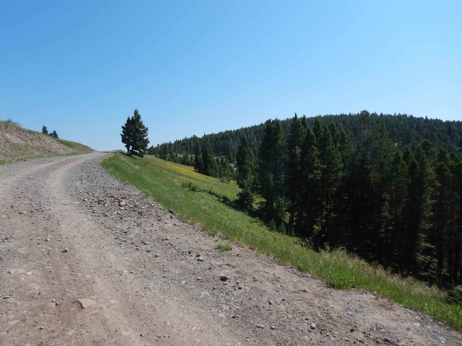 lost-trading-routes-of-montanas-mullan-road