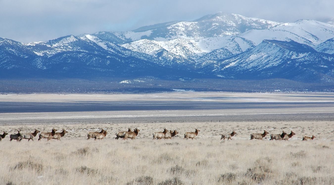 lost-trading-routes-of-nevadas-pony-express