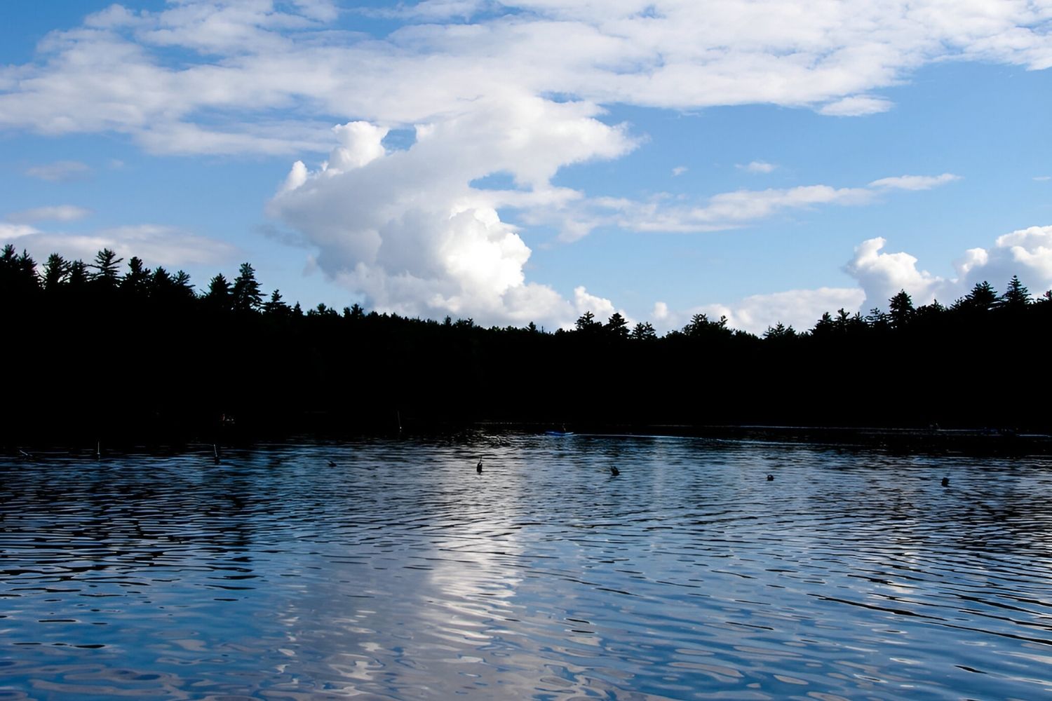 maines-secret-at-rainbow-lake