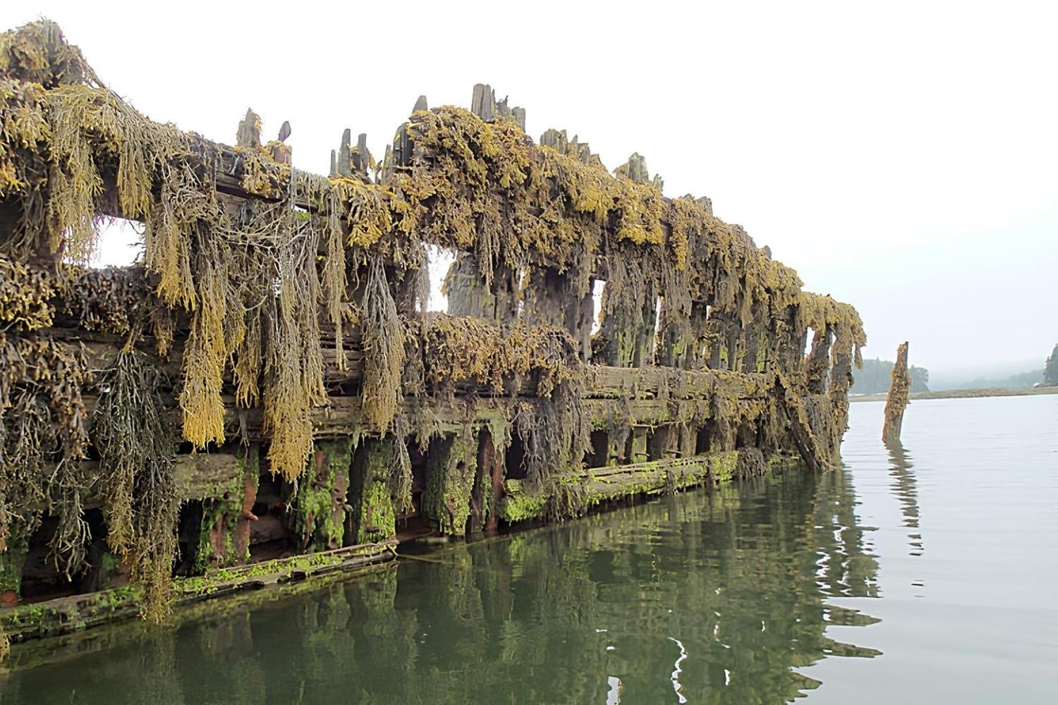 Maine8217s-Secret-Shipwrecks-And-Their-Stories maines-secret-shipwrecks-and-their-stories