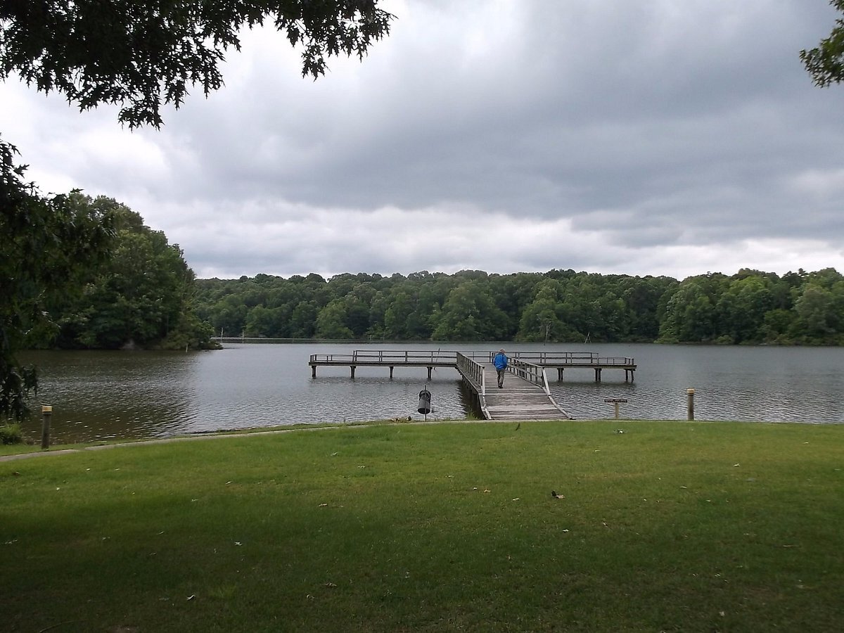 Mississippi8217s-Secret-Lakes-On-The-Natchez-Trace mississippis-secret-lakes-on-the-natchez-trace