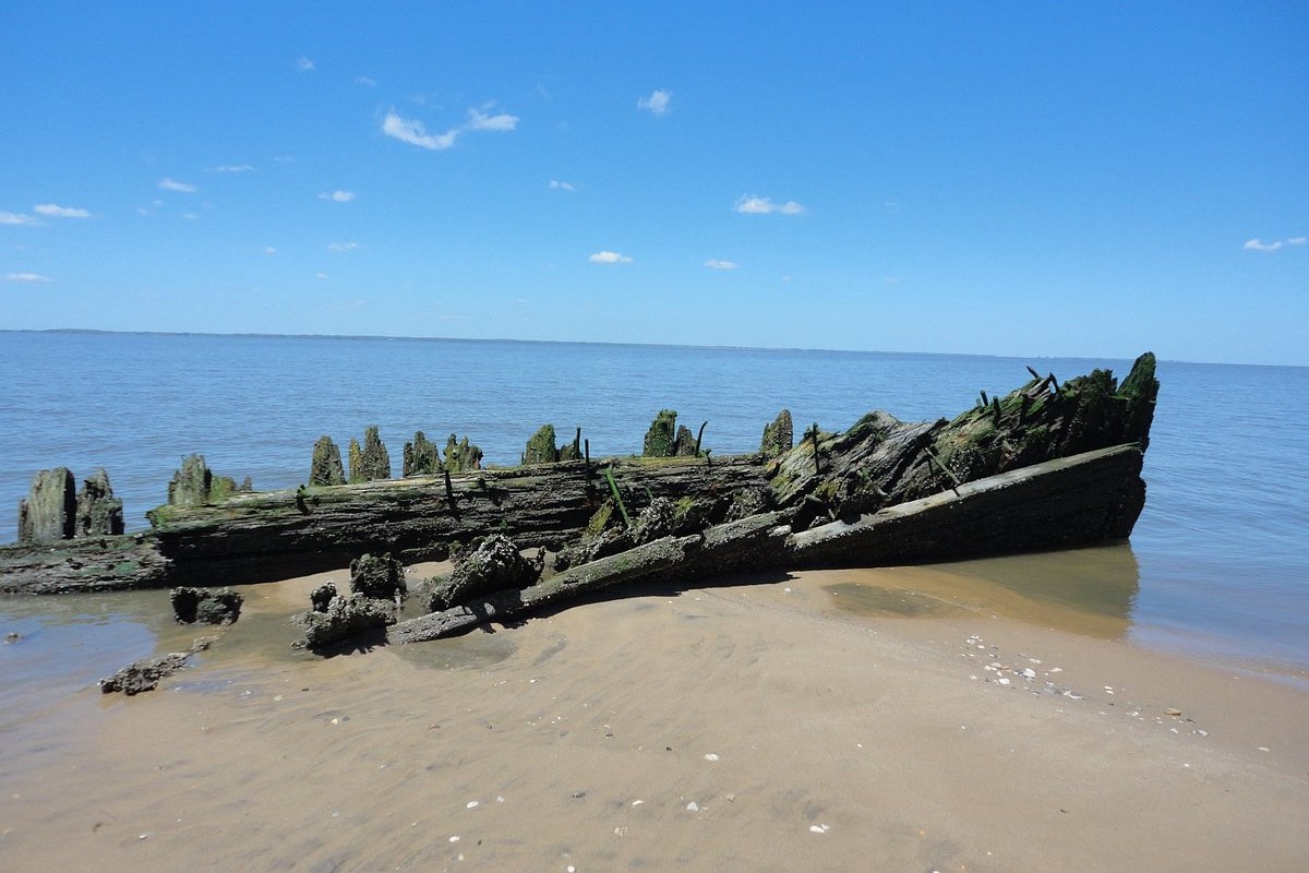 Mysteries-Beneath-Delaware8217s-Woodland-Beach mysteries-beneath-delawares-woodland-beach