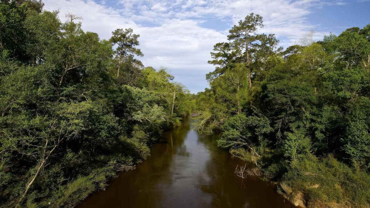 mysteries-beneath-mississippis-black-creek
