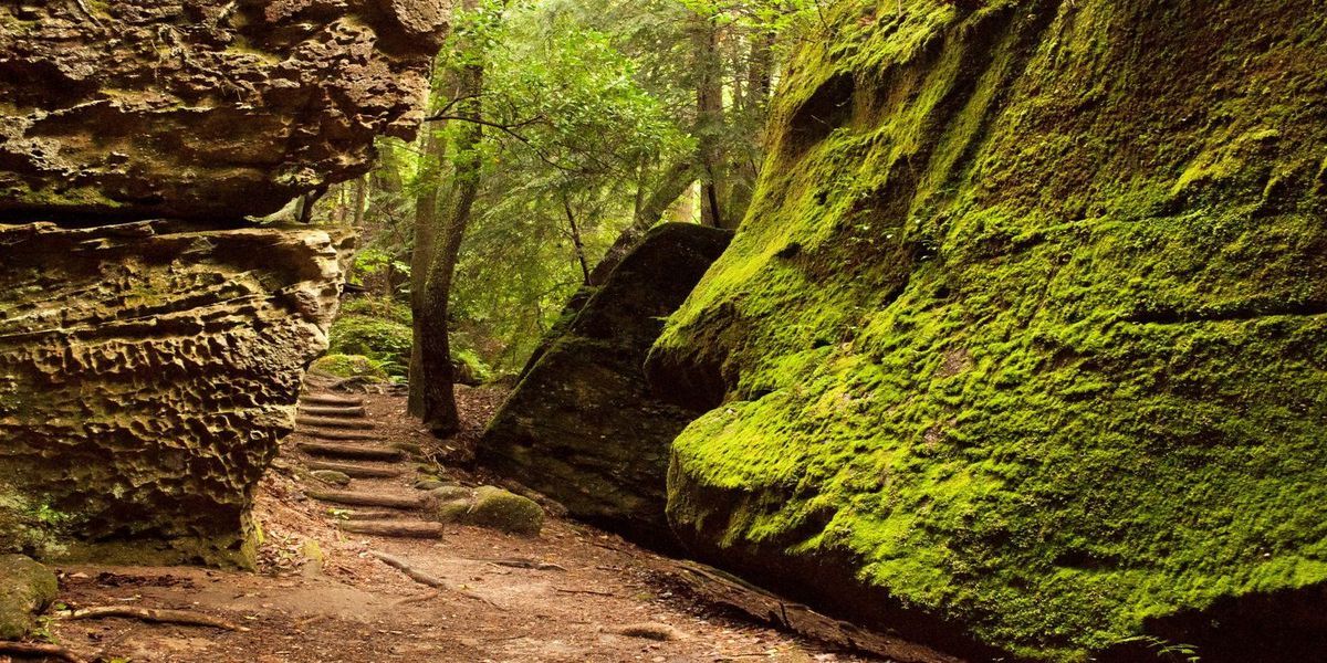 mysteries-hidden-in-alabamas-dismals-canyon