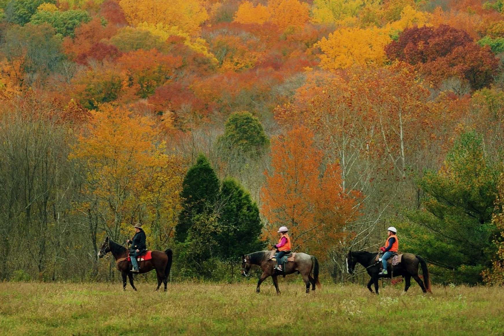 mysteries-inside-indianas-hoosier-forest