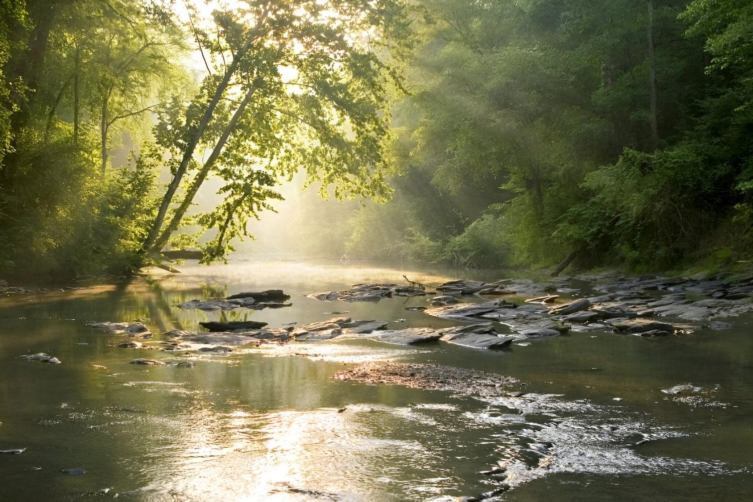 Mysteries-Of-Alabama8217s-Cahaba-River mysteries-of-alabamas-cahaba-river