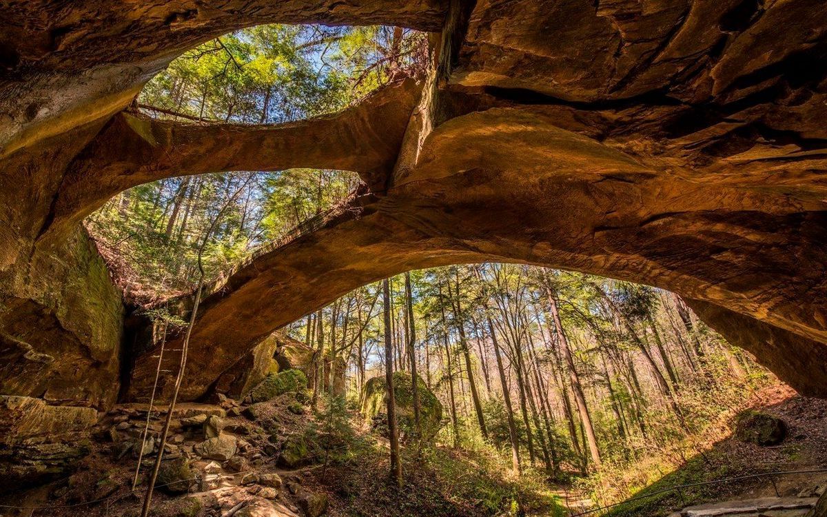 Mysteries-Of-Alabama8217s-Natural-Bridge mysteries-of-alabamas-natural-bridge