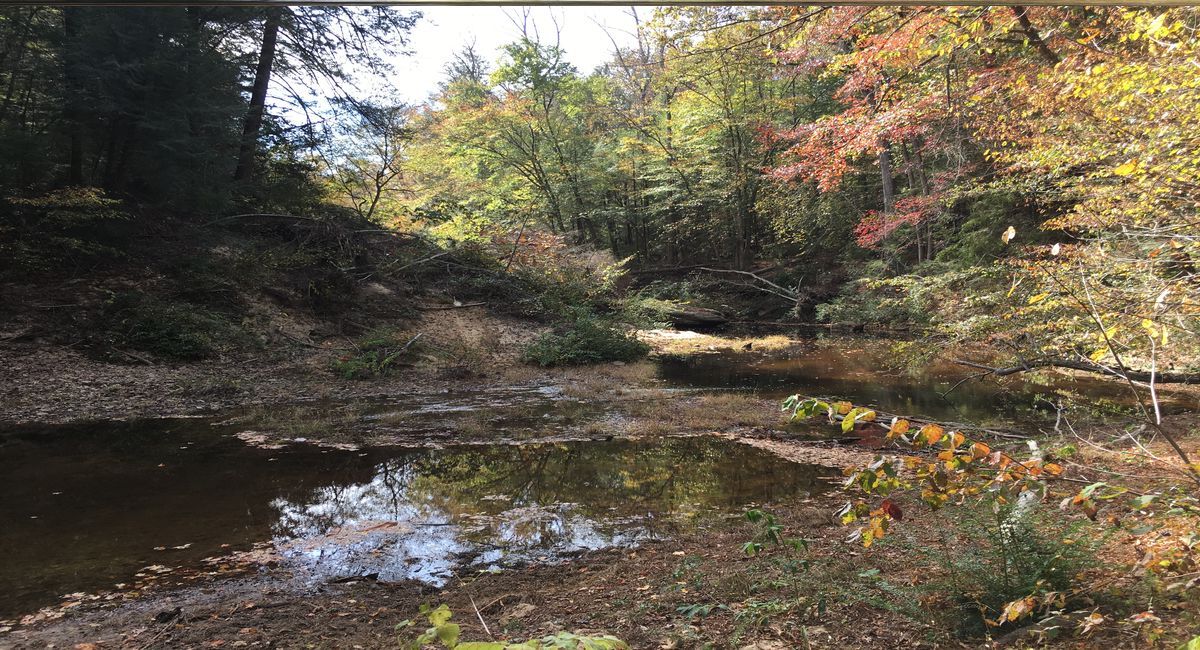 mysteries-of-alabamas-sipsey-trails