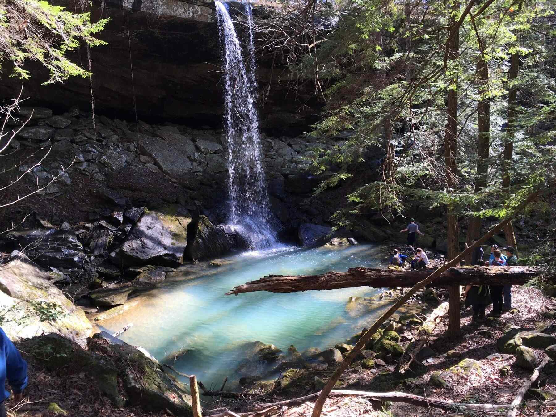 Mysteries-Of-Alabama8217s-Sipsey-Wilderness mysteries-of-alabamas-sipsey-wilderness