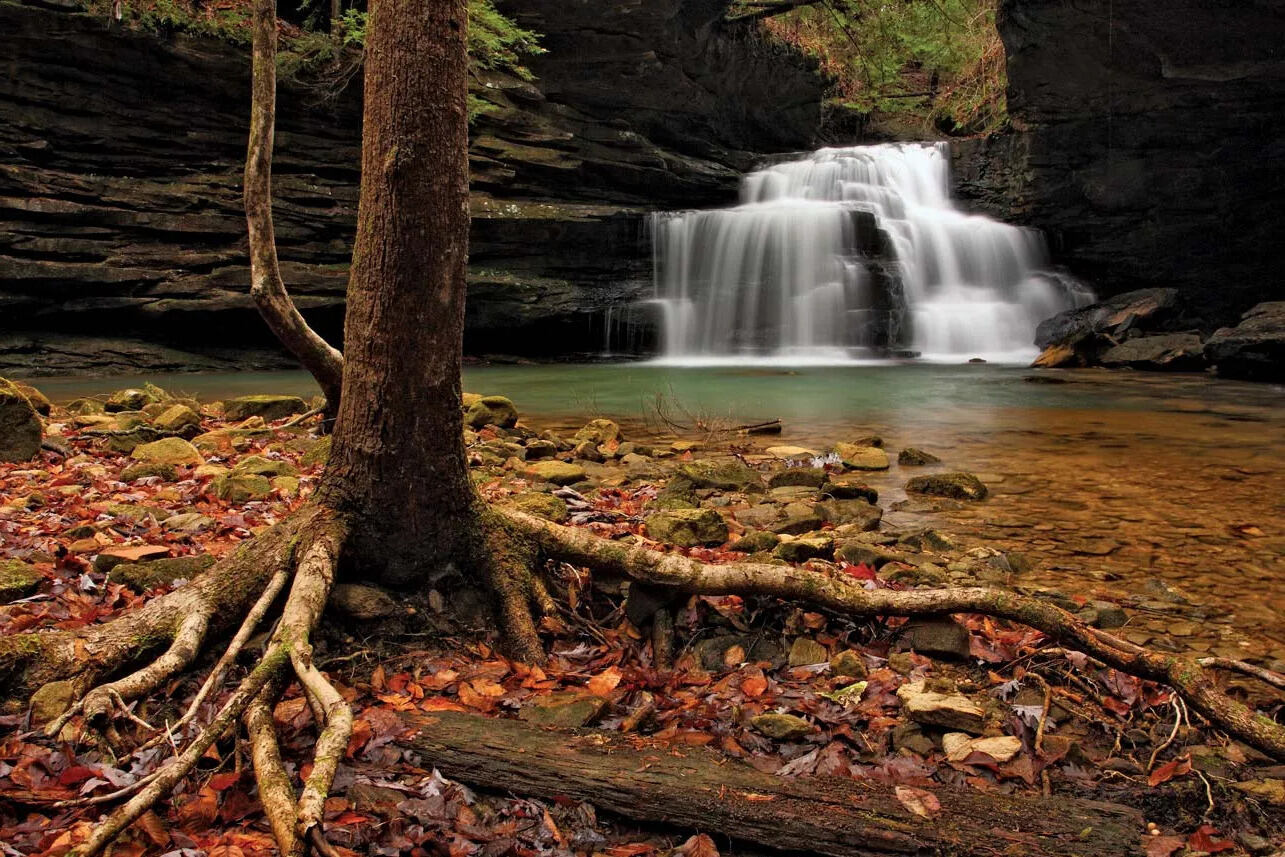 mysteries-of-alabamas-sipsey-wilderness