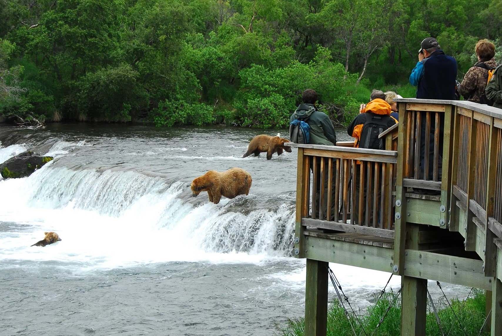 mysteries-of-alaskas-brooks-falls