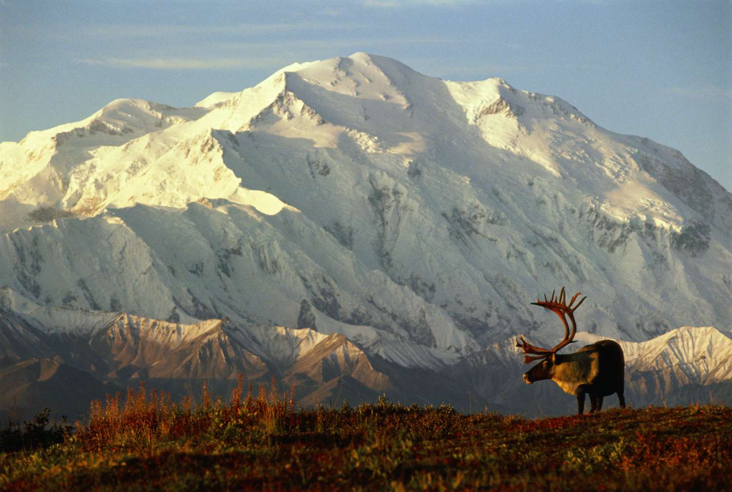 Mysteries-Of-Alaska8217s-Denali-Foothills mysteries-of-alaskas-denali-foothills
