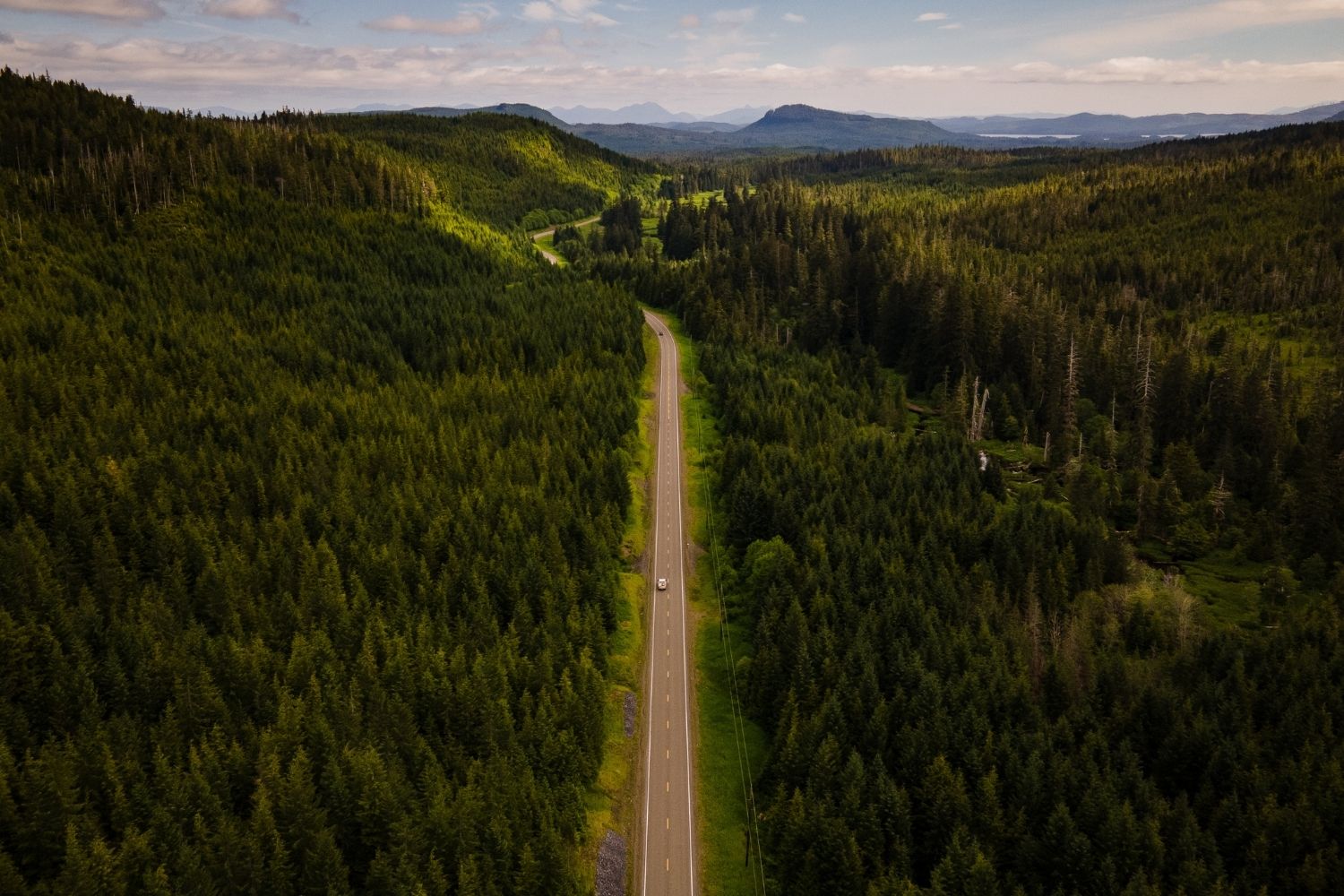 mysteries-of-alaskas-tongass-forest-paths