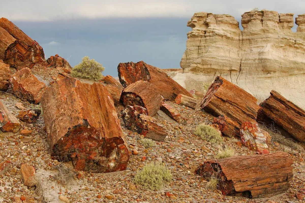 mysteries-of-arizonas-petrified-forest