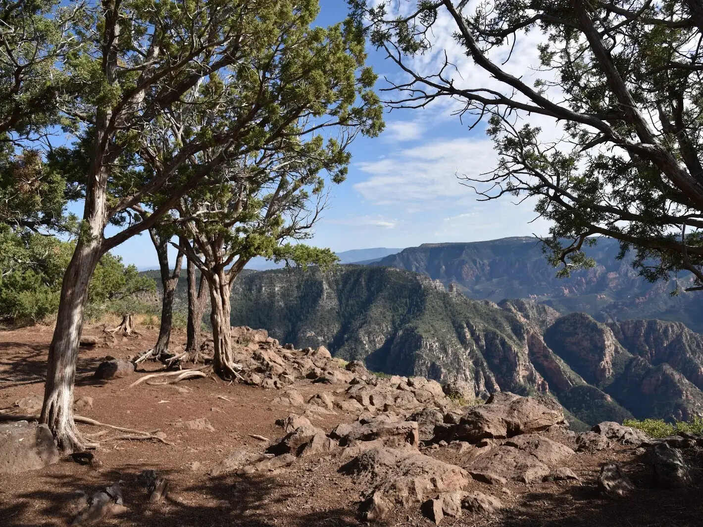 mysteries-of-arizonas-sycamore-canyon-trails