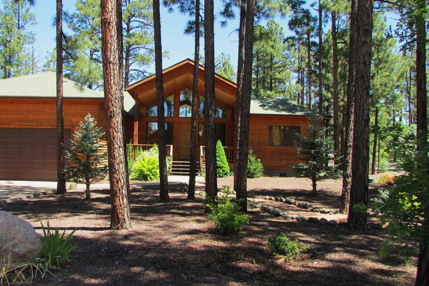 mysteries-of-arizonas-white-woods