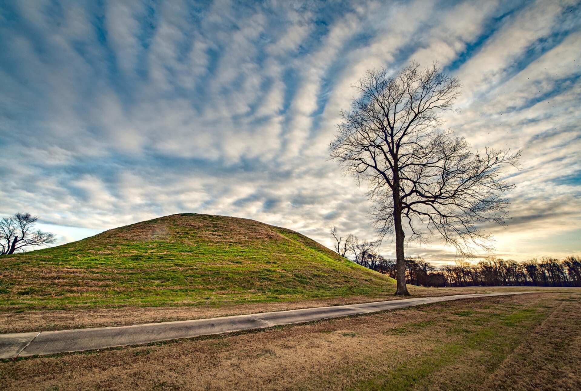 mysteries-of-arkansas-toltec-mounds