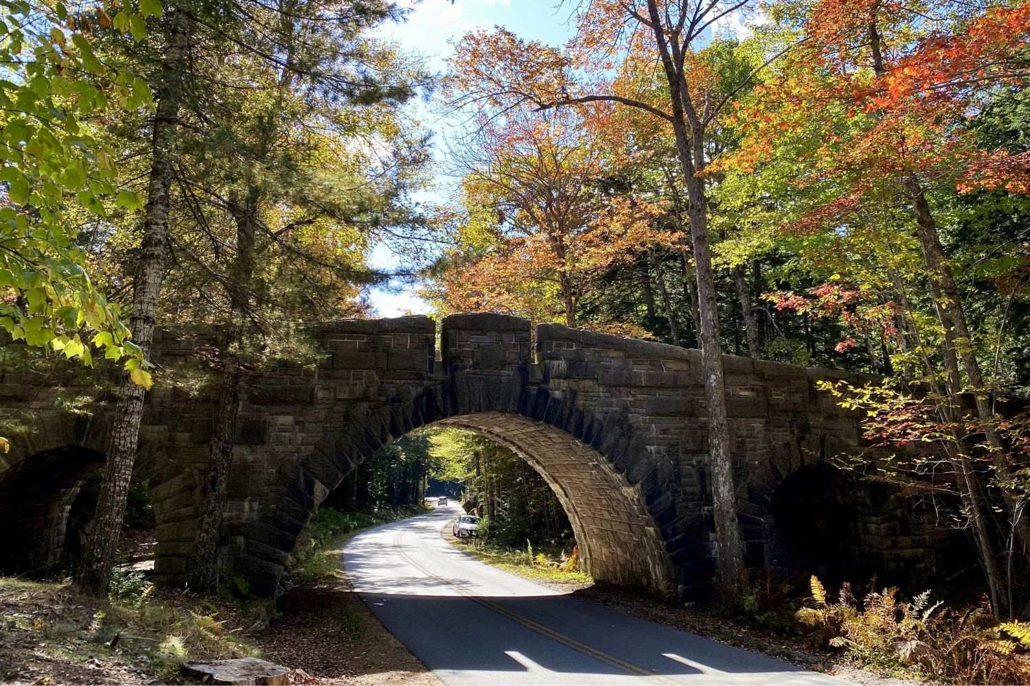 Mysteries-Of-Bar-Harbor8217s-Forest-Paths mysteries-of-bar-harbors-forest-paths