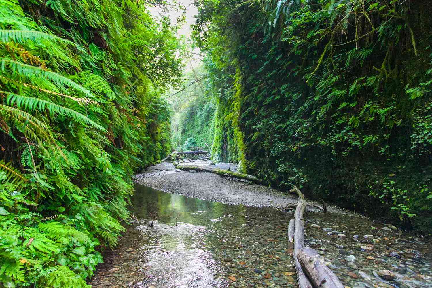 Mysteries-Of-California8217s-Fern-Canyon-Ruins mysteries-of-californias-fern-canyon-ruins