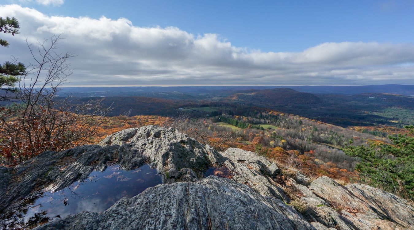 Mysteries-Of-Connecticut8217s-Lions-Head mysteries-of-connecticuts-lions-head