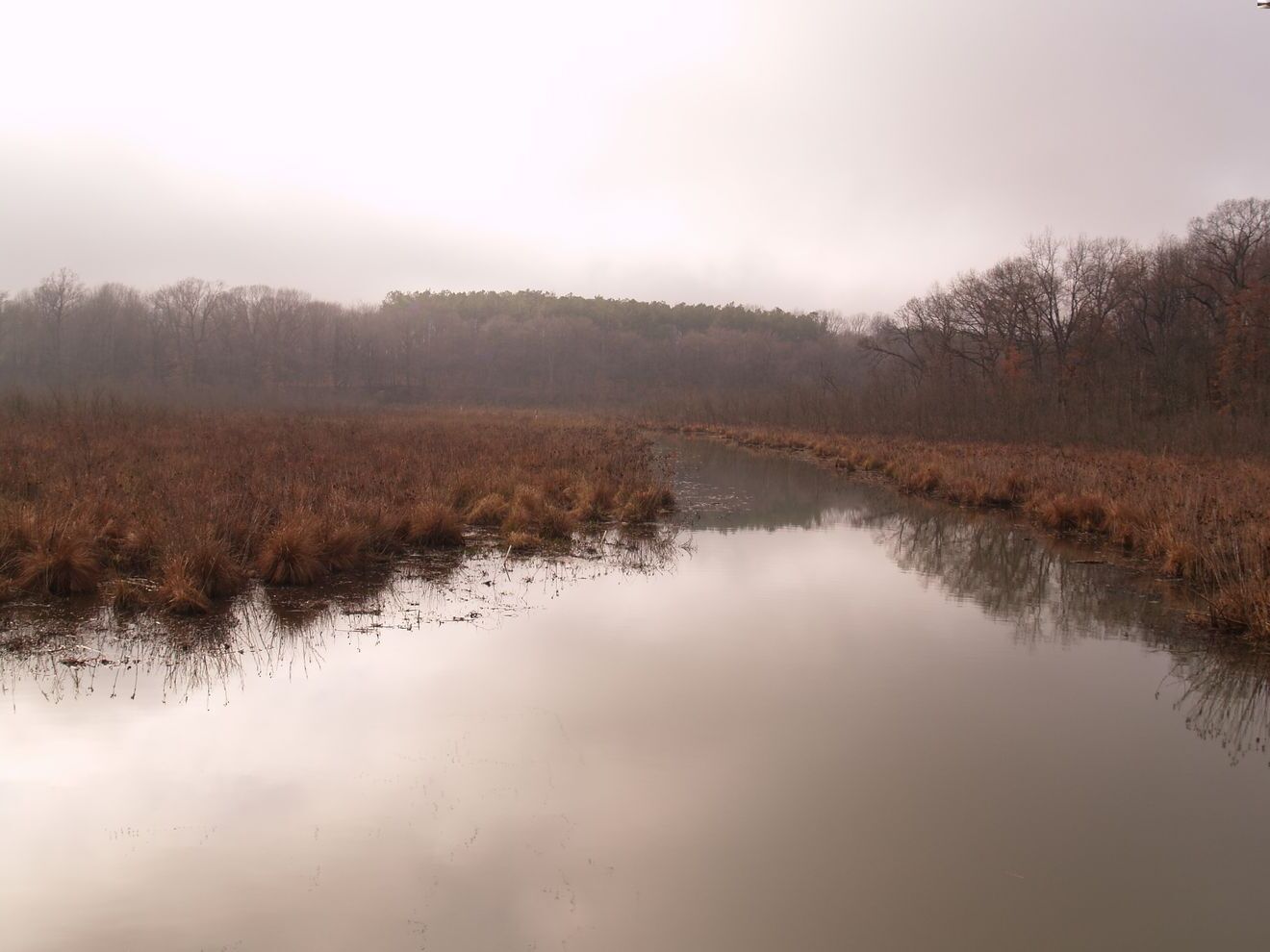 Mysteries-Of-Delaware8217s-Dragon-Creek mysteries-of-delawares-dragon-creek