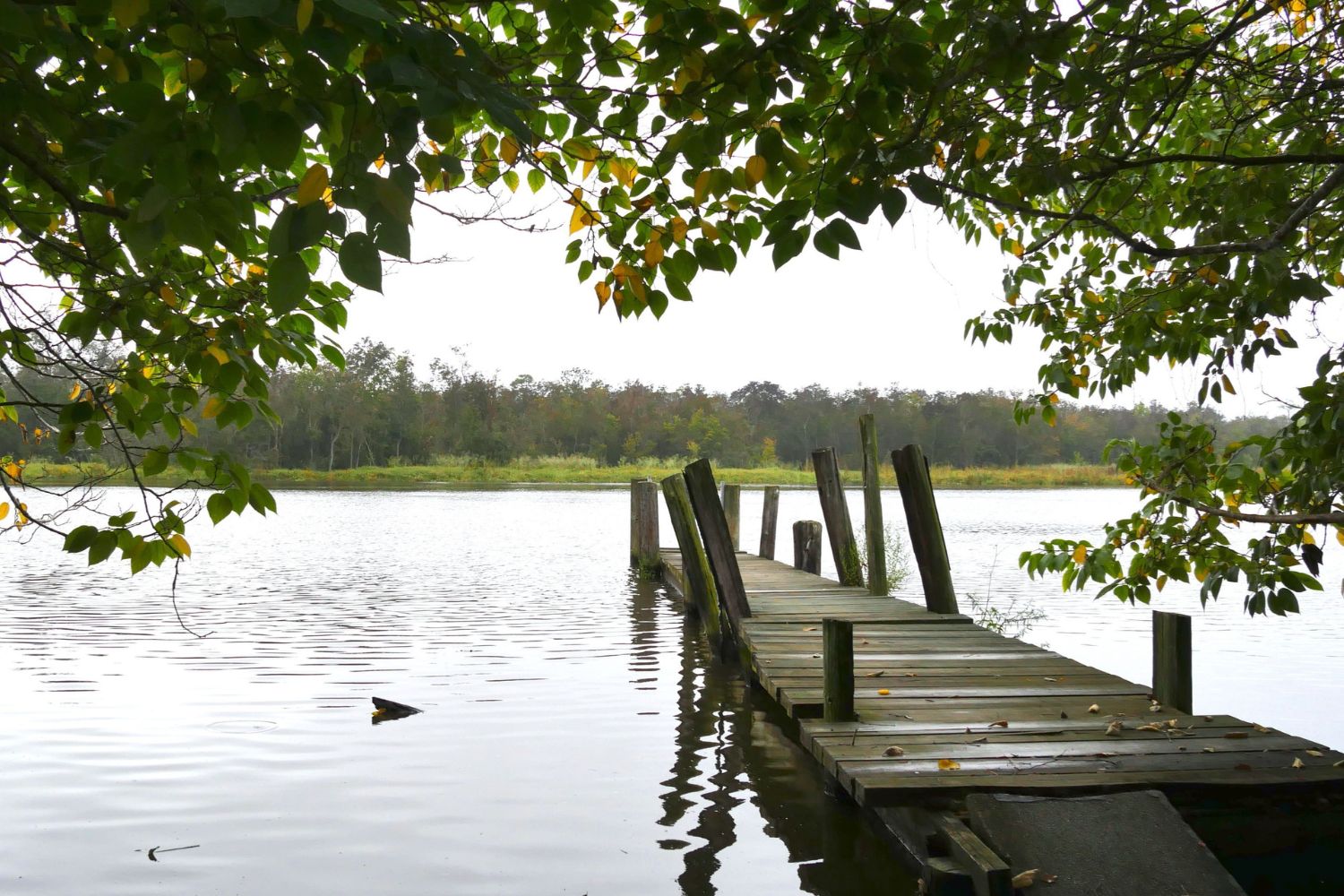 mysteries-of-delawares-nanticoke-lakes