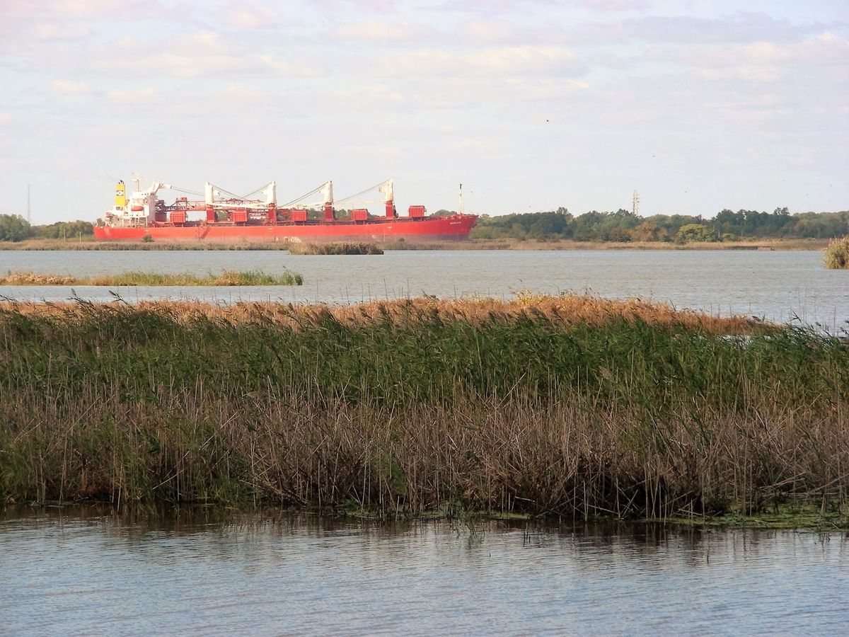 Mysteries-Of-Delaware8217s-Thousand-Acre-Marsh mysteries-of-delawares-thousand-acre-marsh