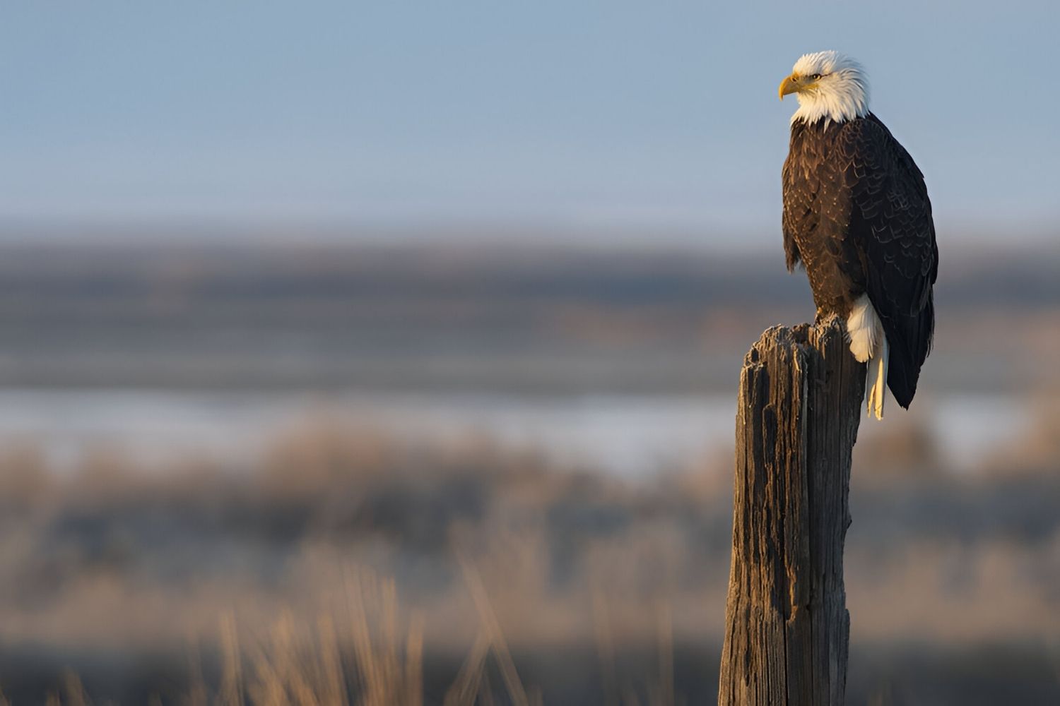 Mysteries-Of-Eagle-Feather-Basin-In-Montana mysteries-of-eagle-feather-basin-in-montana