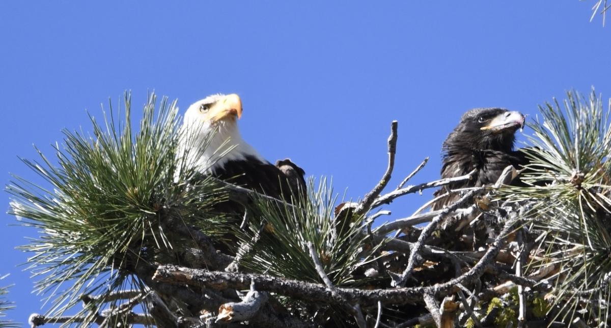 Mysteries-Of-Eagle-Spirit-Basin-In-Oregon mysteries-of-eagle-spirit-basin-in-oregon