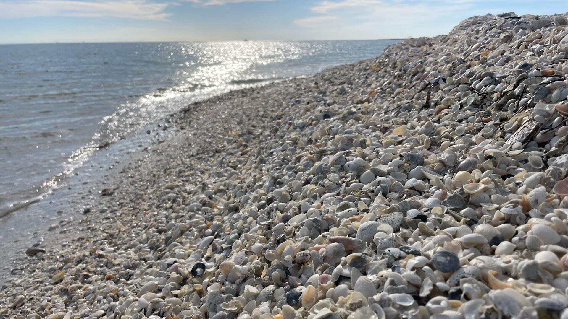 Mysteries-Of-Florida8217s-Ancient-Shell-Island mysteries-of-floridas-ancient-shell-island
