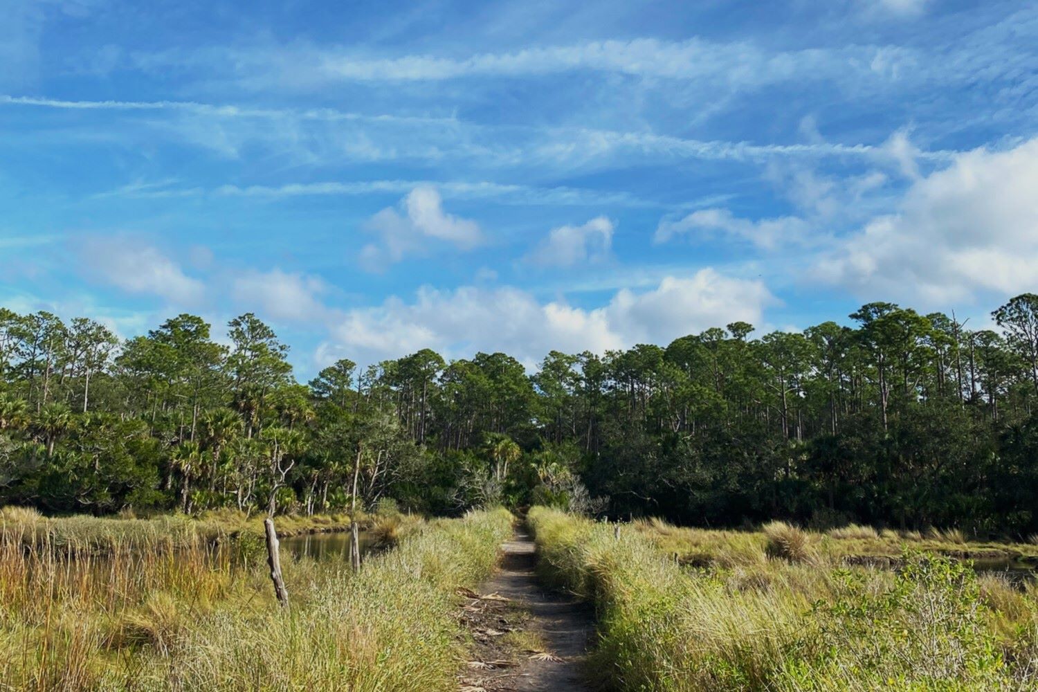 mysteries-of-floridas-bulow-creek