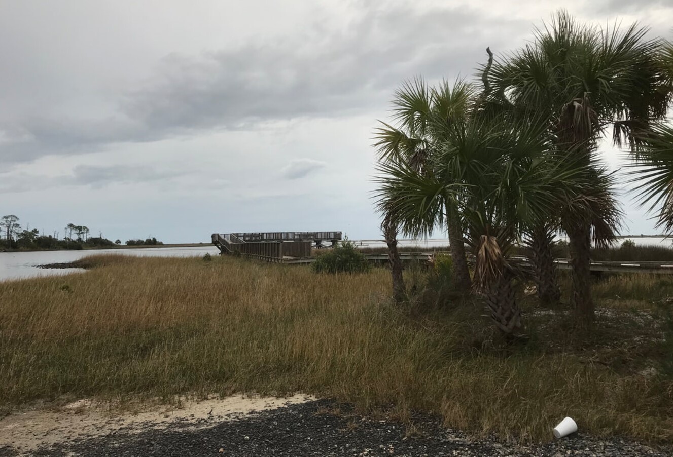 Mysteries-Of-Florida8217s-Cedar-Key-Shell-Middens mysteries-of-floridas-cedar-key-shell-middens