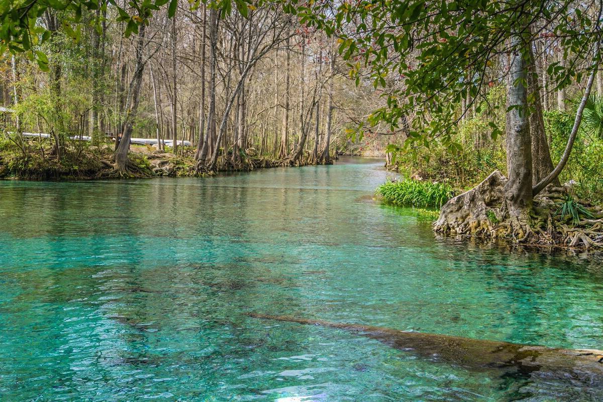 mysteries-of-floridas-crystal-river