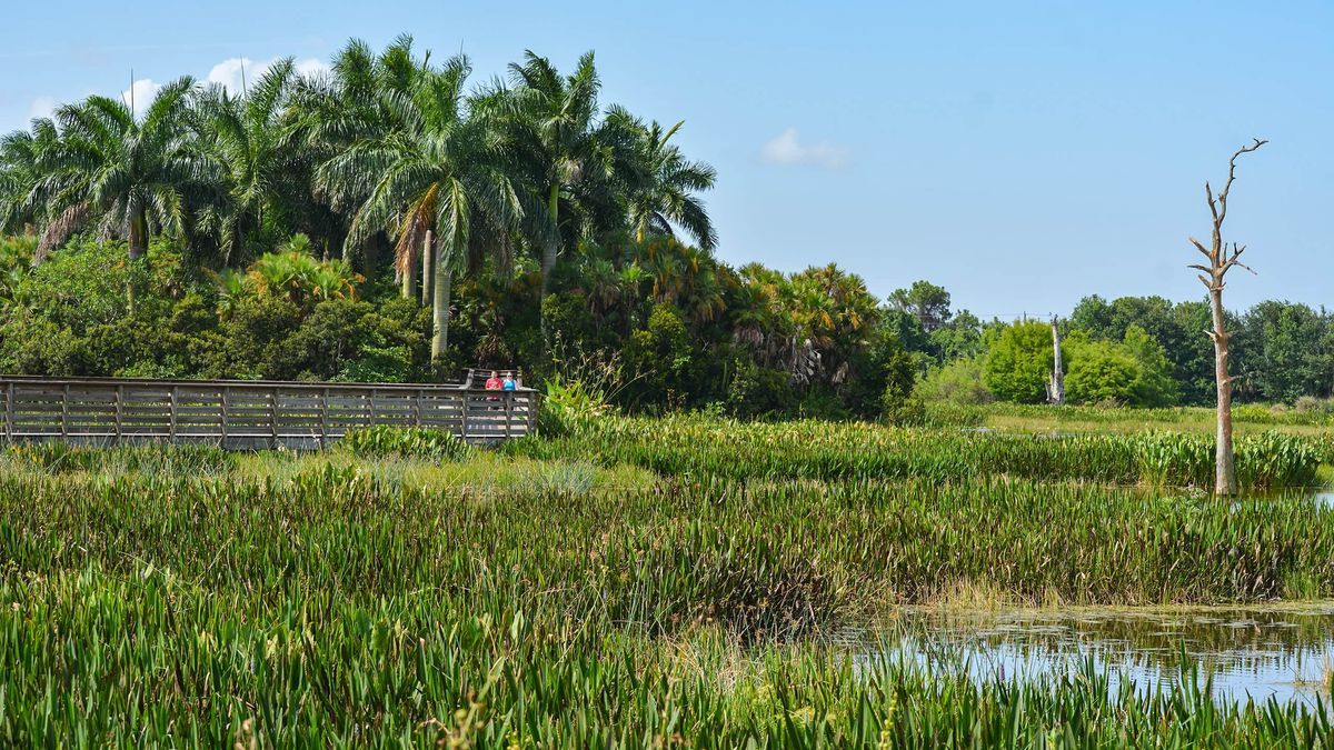 mysteries-of-floridas-green-cay