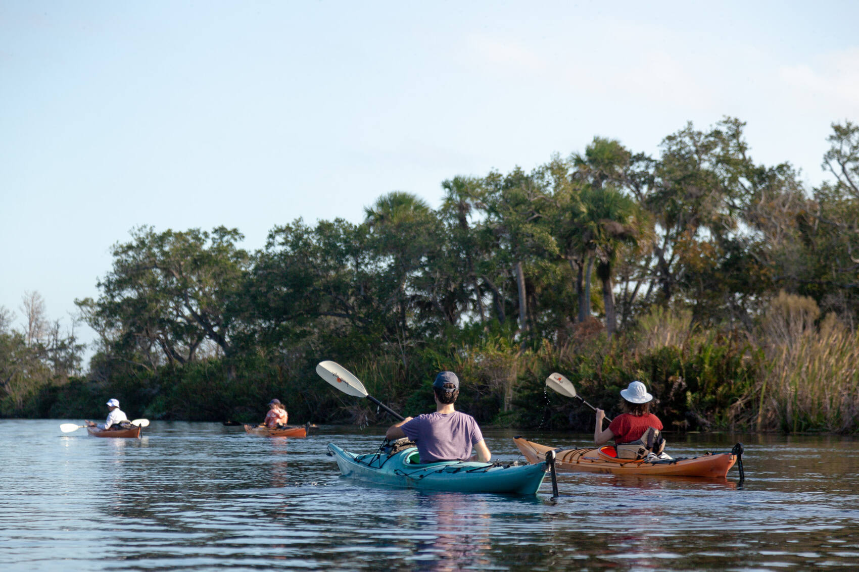 mysteries-of-floridas-sebastian-river
