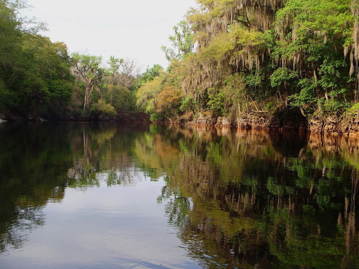 mysteries-of-floridas-suwannee