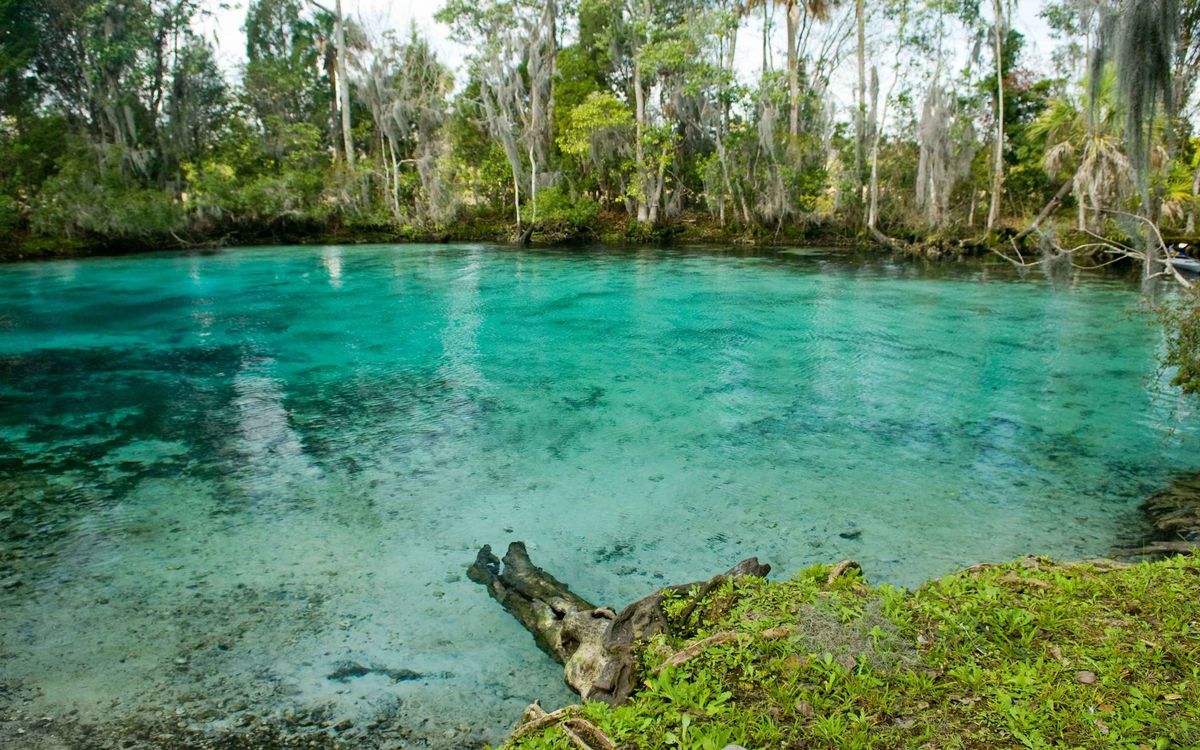 mysteries-of-floridas-three-sisters-springs