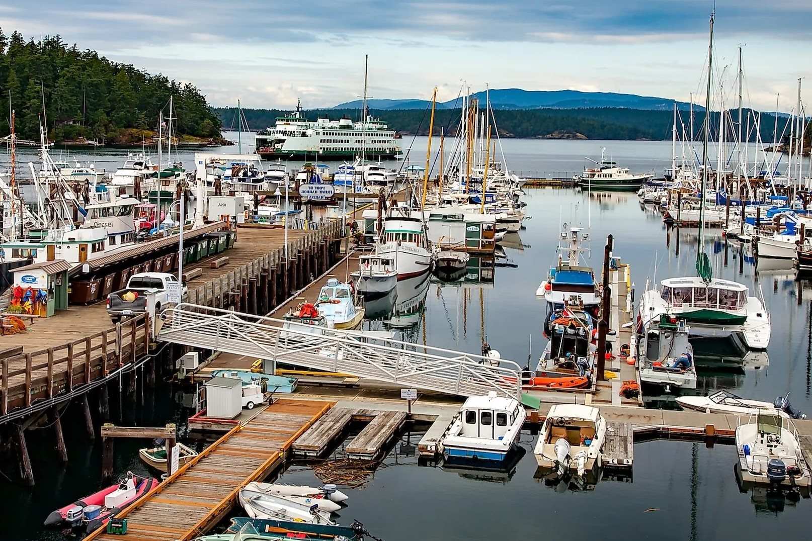 Mysteries-Of-Forest-Paths-In-Friday-Harbor-Washington mysteries-of-forest-paths-in-friday-harbor-washington