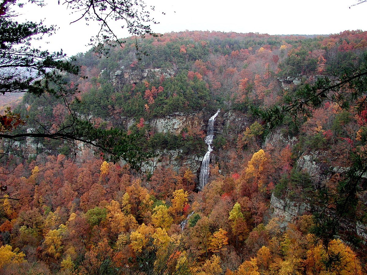 Mysteries-Of-Georgia8217s-Cloudland-Canyon mysteries-of-georgias-cloudland-canyon