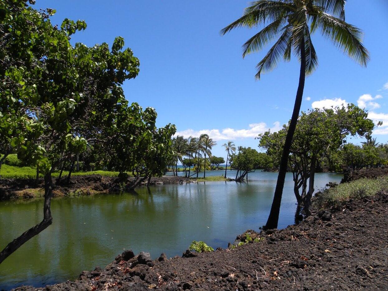 mysteries-of-hawaiis-ancient-fish-ponds