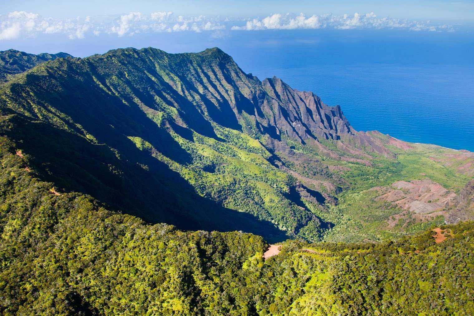 Mysteries-Of-Hawaii8217s-Koke8217e-Forest mysteries-of-hawaiis-kokee-forest