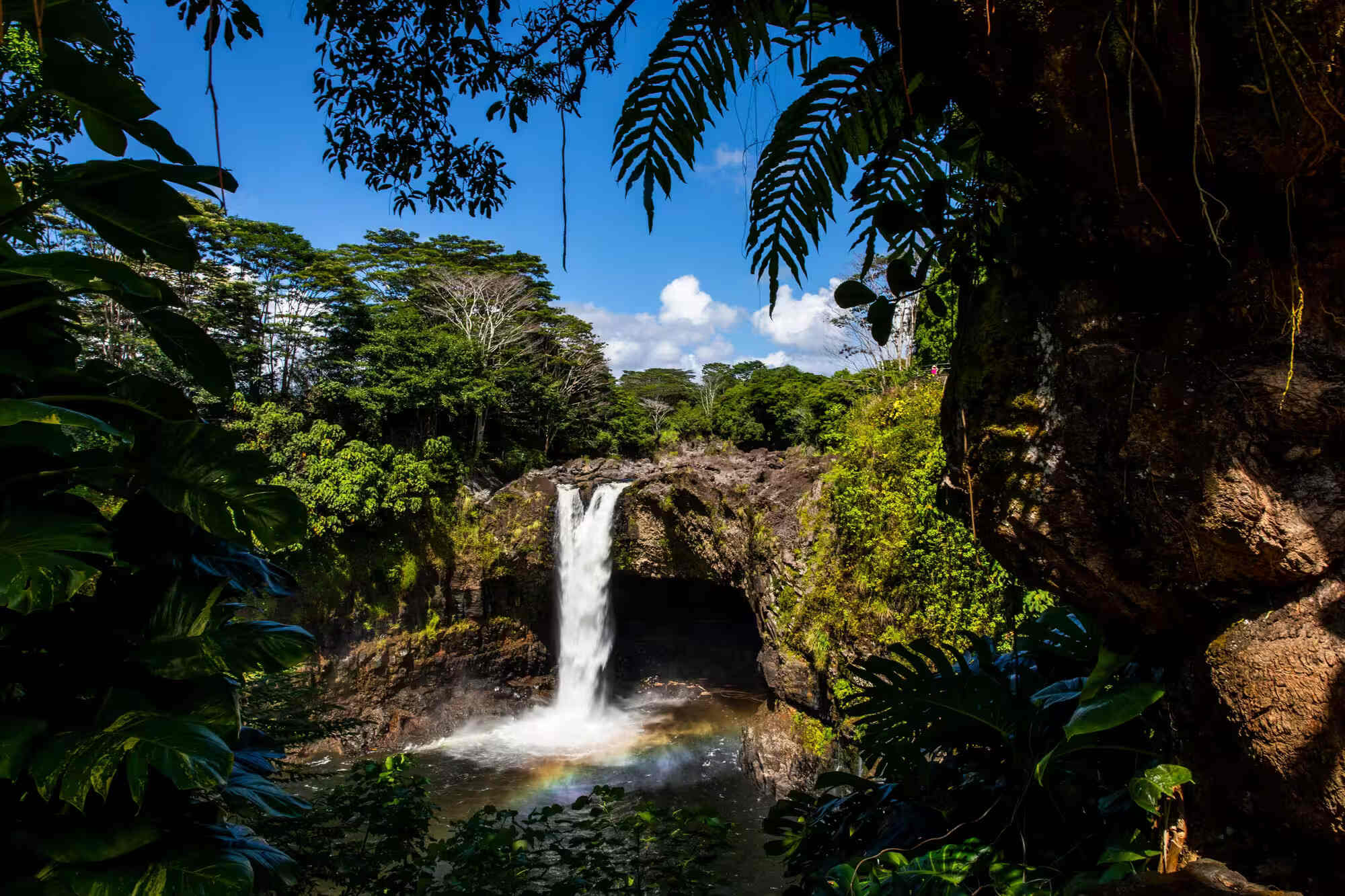 mysteries-of-hawaiis-rainbow-forest