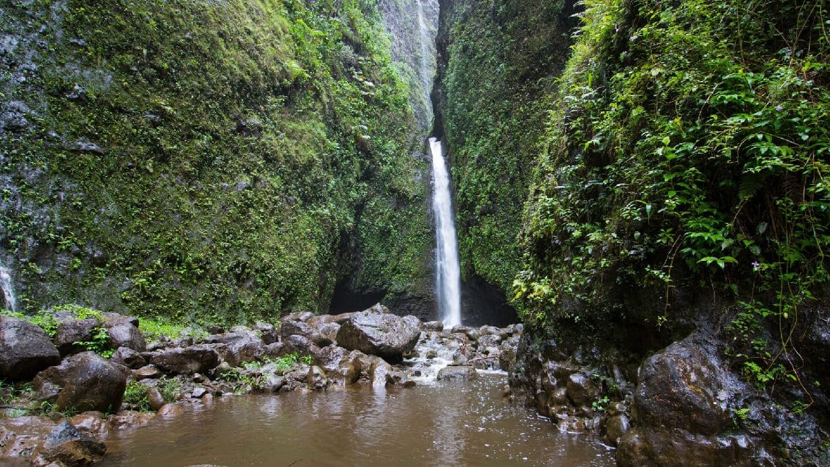 Mysteries-Of-Hawaii8217s-Sacred-Falls mysteries-of-hawaiis-sacred-falls