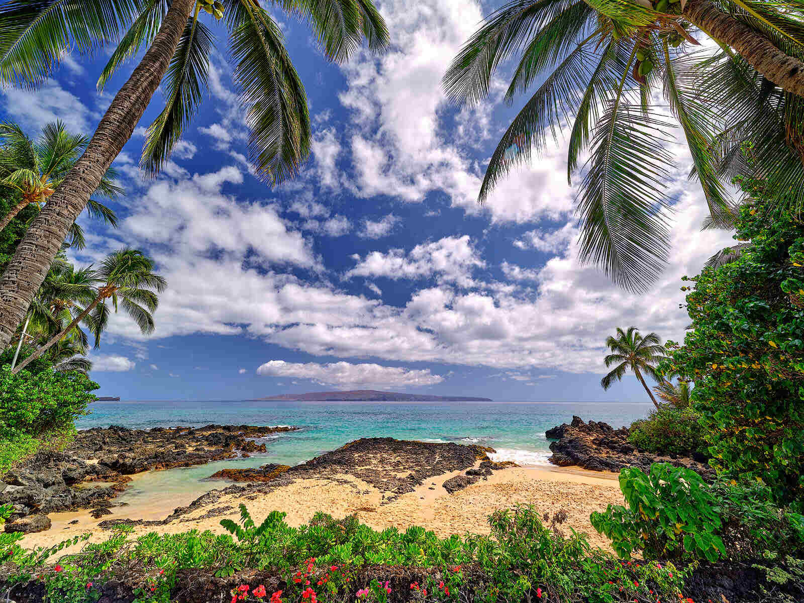 Mysteries-Of-Hawaii8217s-Secret-Beach mysteries-of-hawaiis-secret-beach