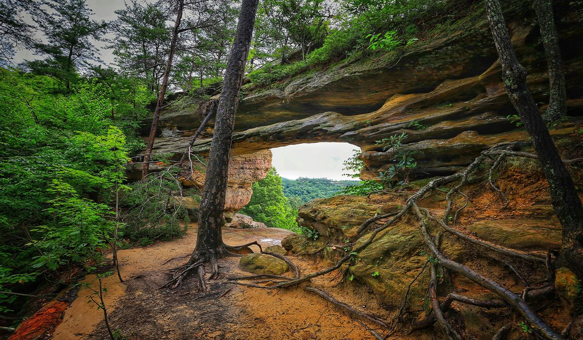 Mysteries-Of-Kentucky8217s-Ancient-Trails mysteries-of-kentuckys-ancient-trails