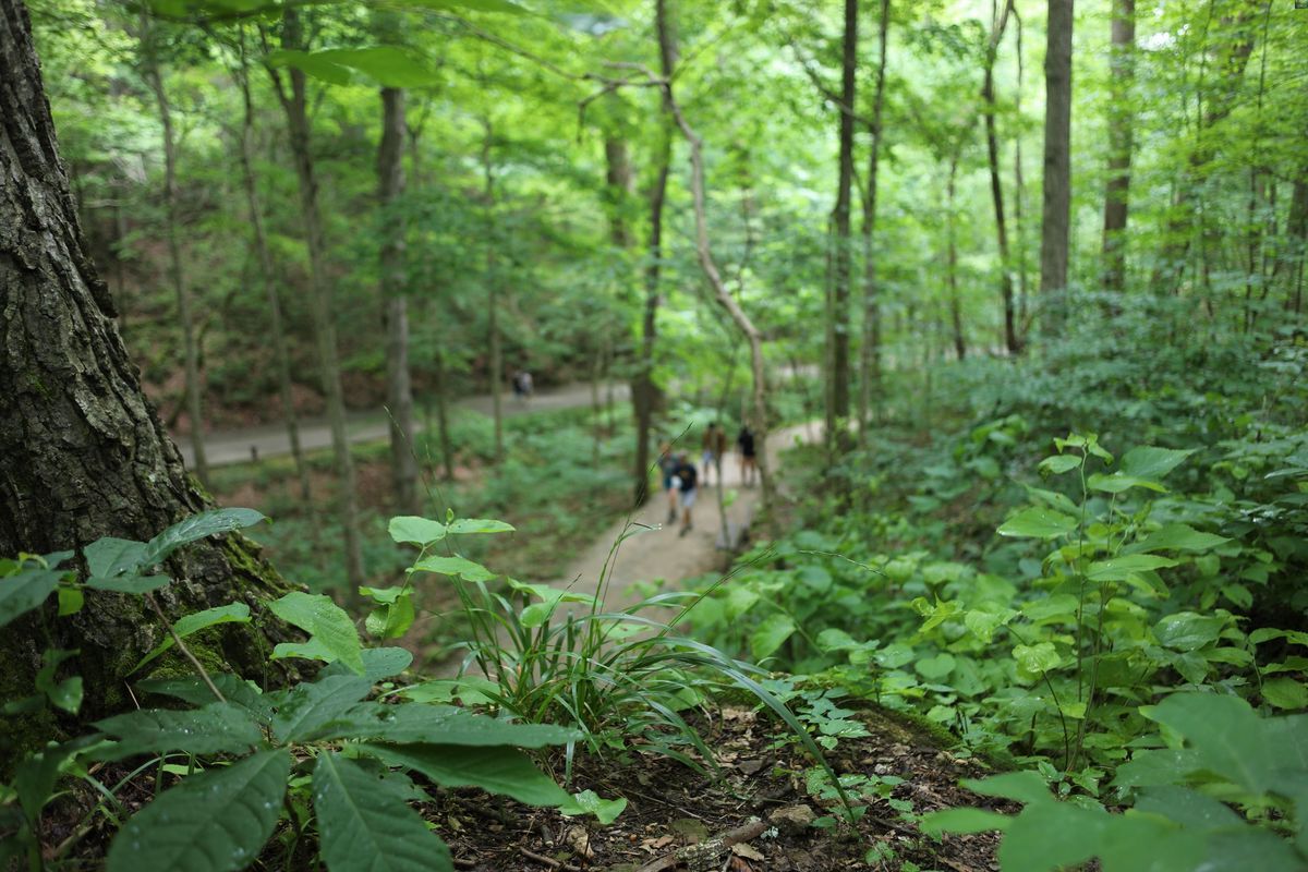 mysteries-of-kentuckys-mammoth-cave-trails