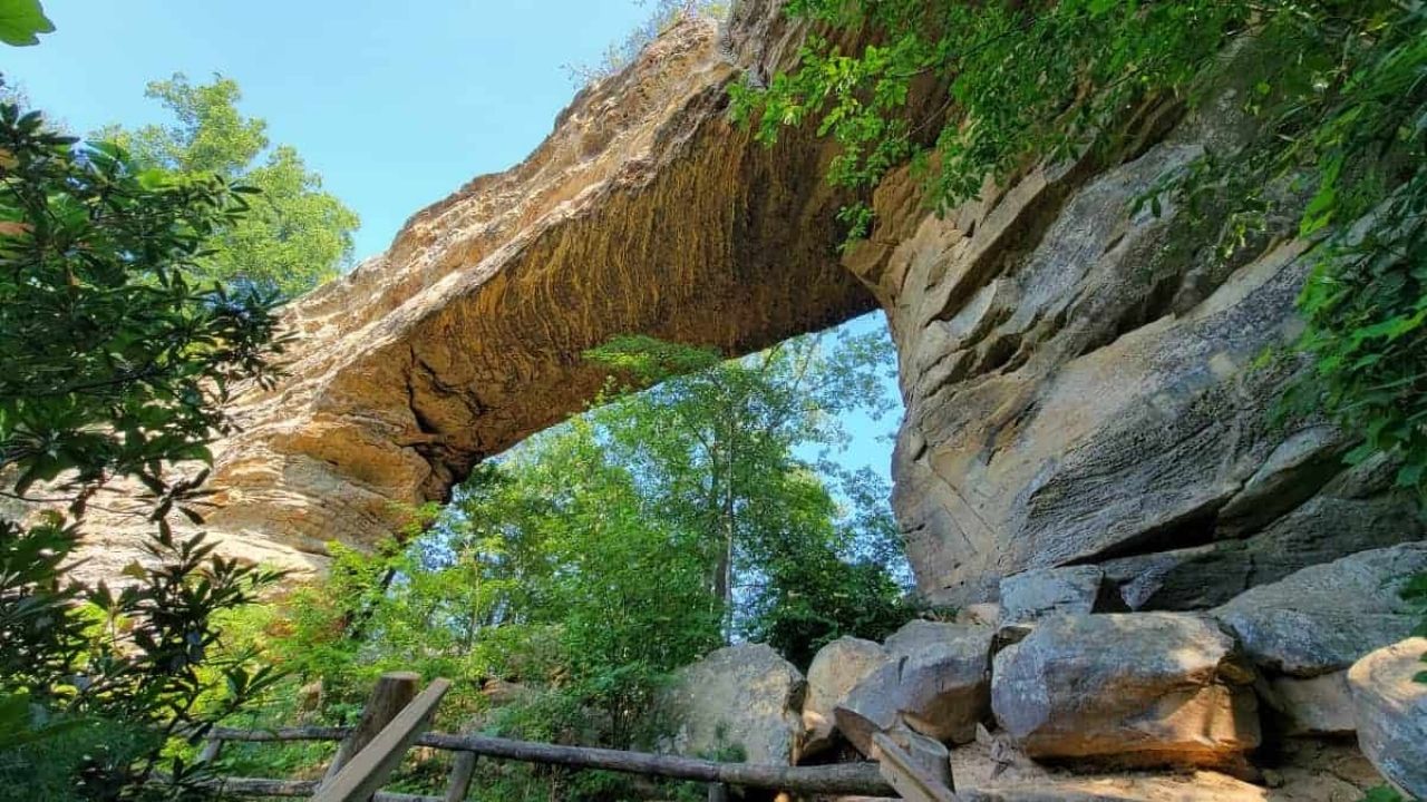 Mysteries-Of-Kentucky8217s-Natural-Bridge-Trails mysteries-of-kentuckys-natural-bridge-trails