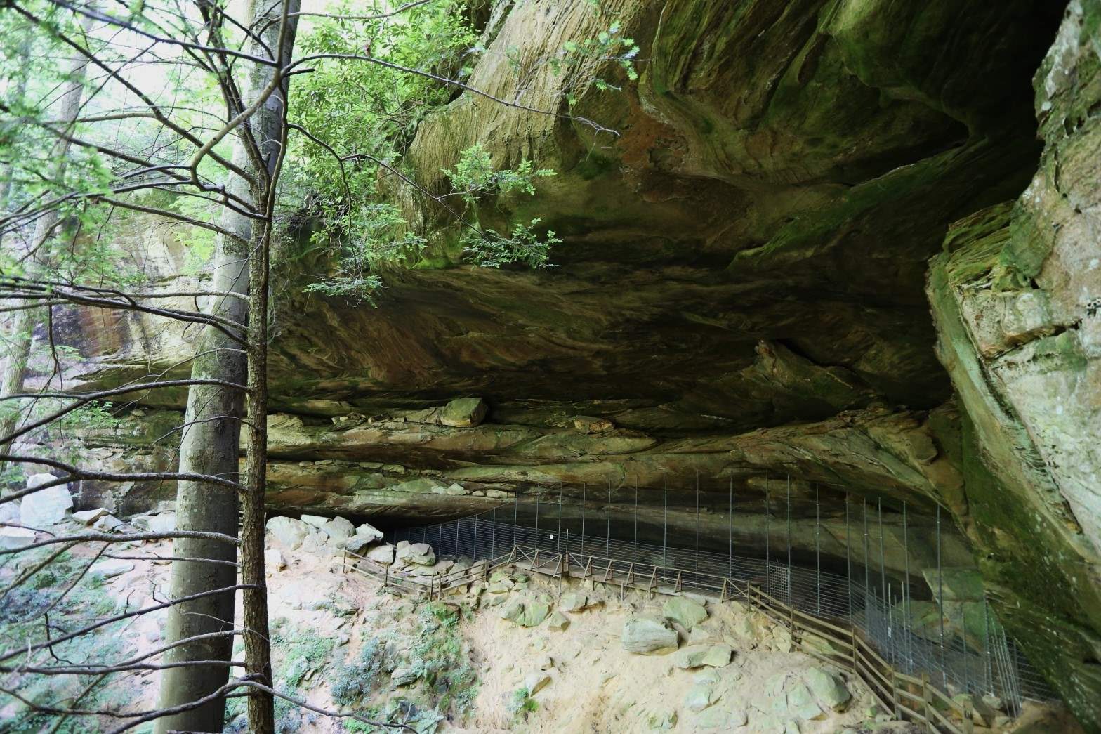 Mysteries-Of-Kentucky8217s-Red-River-Gorge mysteries-of-kentuckys-red-river-gorge